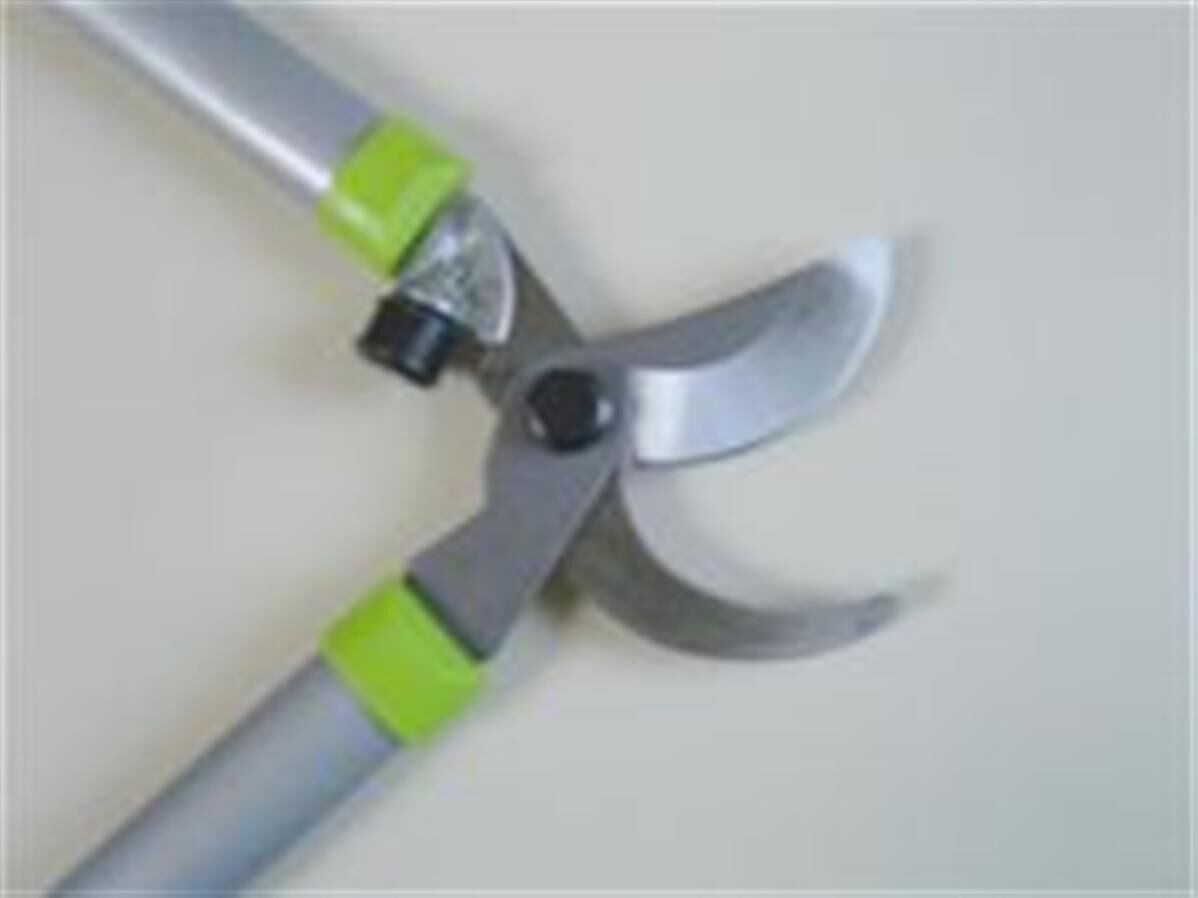 Cisaille casse branche
