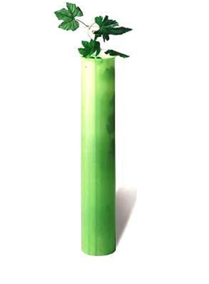Tubex vigne 50 cm